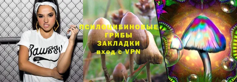 Псилоцибиновые грибы Psilocybe  Туймазы 